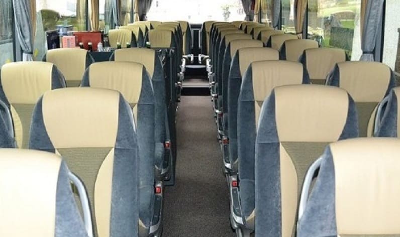 Poland: Coach operator in Lower Silesian in Lower Silesian and Zgorzelec